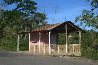 Ormandaki eski ahşap ev