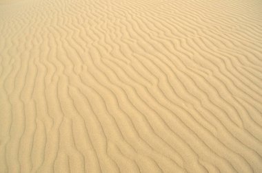 Çölde kum tepeciği