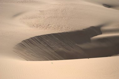Sahara çölünde kum tepeleri ve kum tepeleri, Afrika