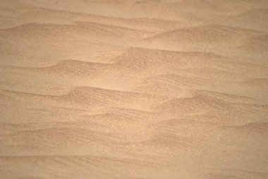 çöl güzel kumulları