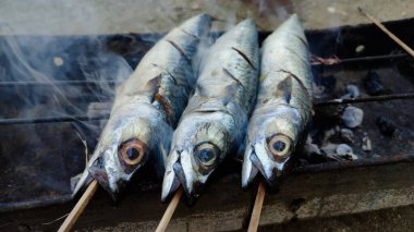 Sıcak kömürde kızartılmış üç deniz balığı.