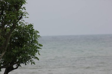 Yağmurdan sonra suyun hala bulanık olduğu sahile bak.