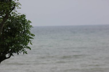 Yağmurdan sonra suyun hala bulanık olduğu sahile bak.