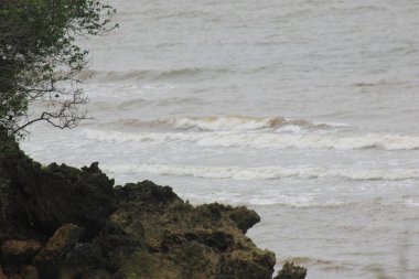 Yağmurdan sonra suyun hala bulanık olduğu sahile bak.