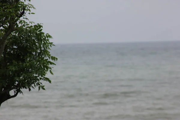 Yağmurdan sonra suyun hala bulanık olduğu sahile bak.