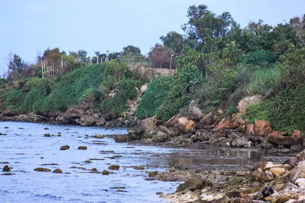 Sahildeki kayalar, sahildeki kayalar, kumsaldaki gün batımı, kayalar ve deniz, bir sürü taşa yakın.