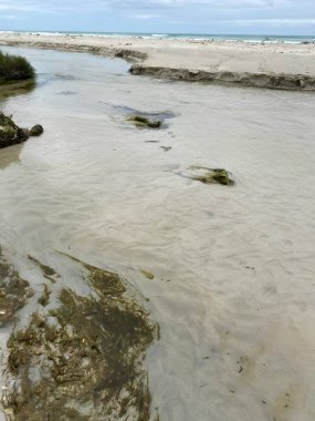 Dokunulmamış, huzur dolu sahilleri keşfedin. Güzelliğin durgun dalgaların ritminde ve dokunulmamış kıyıları şereflendiren sükuneti..