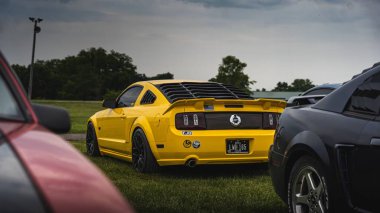 Sarı Mustang GT kapüşonu 