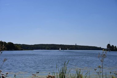 Açık gökyüzünün altında yelkenli tekneleri ve orman kıyıları olan huzurlu bir Avrupa nehri. Doğa, seyahat ve ekolojik bilinçli yaşam tarzı yayınları için ideal.