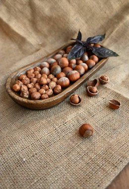 Çuval bezi üzerinde fındık yakın plan, sonbahar hasadını ve mevsimin doğal hediyelerini sembolize ediyor. Sonbahar temaları, Şükran Günü ve mevsimlik promosyonlar için mükemmel..