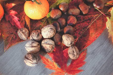 Taze sebze çeşitleri - sonbahar kompozisyonu