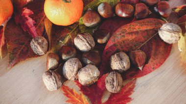 taze sebzeler ve meyveler - sonbahar kompozisyonu