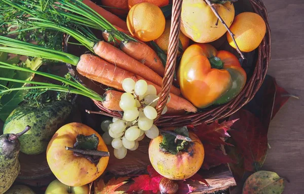 Taze sebze çeşitleri - sonbahar kompozisyonu