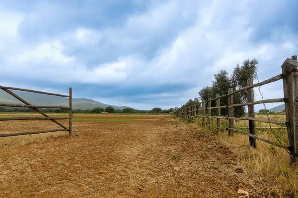 İtalya 'nın kırsal kesimindeki çit. Toskana, İtalya