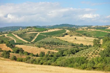 Ağacı ve dağı olan güzel bir manzara. Maremma, Toskana, İtalya