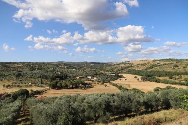  Ağaçlarla dolu bir tarlası ve mavi gökyüzü olan güzel bir manzara. Maremma, Toskana, İtalya