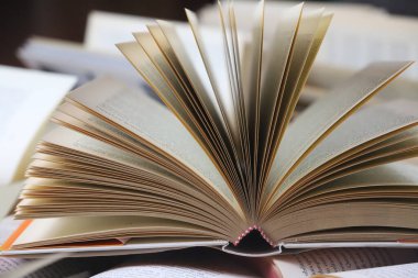 Masanın üzerinde açık bir kitap