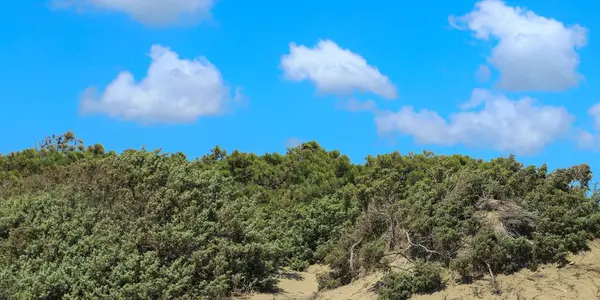 Akdeniz 'de mavi gökyüzü olan kum tepeleri 