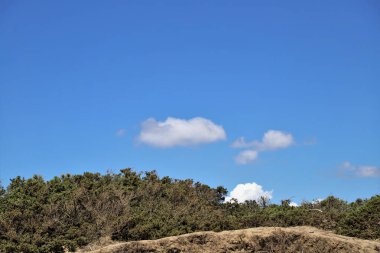 coastal dune landscape with blue sky with small clouds