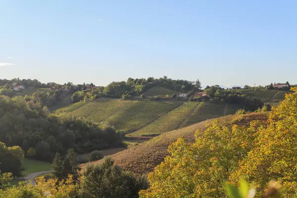 Üzüm bağları ile sonbahar manzara