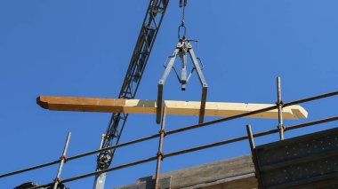 İnşaat alanında turna..