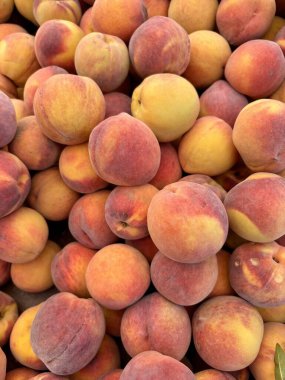 Provence 'deki pazarda taze kayısılar.