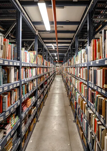 logistic warehouse. packing line in a logistics warehouse. conve