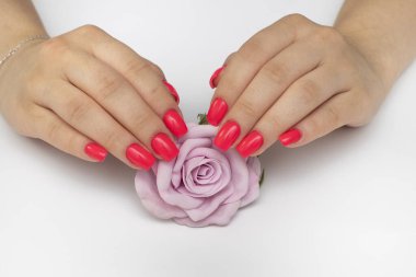 Uzun kare çivili parlak mercan manikürü. Beyaz arka planda pembe bir gül var.