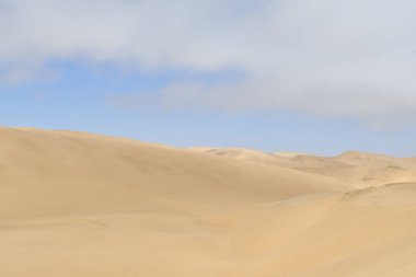 En eski çöl: Namibya Çölü