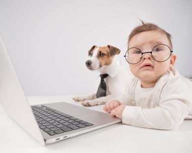 Sevimli erkek bebek ve Jack Russell teriyer köpeği dizüstü bilgisayarda çalışıyor.