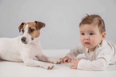 Sevimli erkek bebek ve Jack Russell teriyer köpeği beyaz bir arka planda uzanıyorlar.