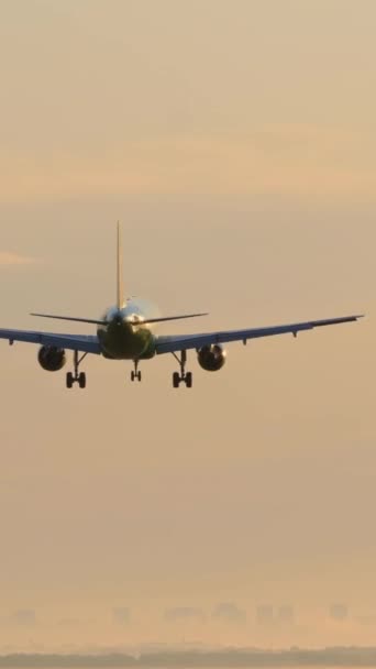 Niş Yapan Bir Uçağın Arka Görüntüsü Dikey Video — Stok video