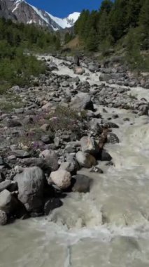 Dağ nehrinin insansız hava aracı görüntüsü. Dikey video