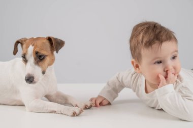 Sevimli erkek bebek ve Jack Russell teriyer köpeği beyaz bir arka planda uzanıyorlar.