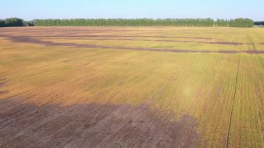 Bir biçilmiş alanın insansız hava aracı videosu