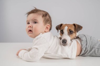 Sevimli erkek bebek ve Jack Russell teriyer köpeği beyaz bir arka planda uzanıyorlar.