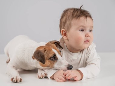 Sevimli erkek bebek ve Jack Russell teriyer köpeği beyaz bir arka planda uzanıyorlar.