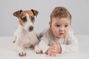 Sevimli erkek bebek ve Jack Russell teriyer köpeği beyaz bir arka planda uzanıyorlar.