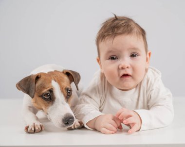 Sevimli erkek bebek ve Jack Russell teriyer köpeği beyaz bir arka planda uzanıyorlar.