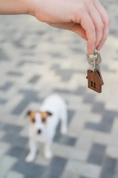 Arka planda köpek olan ev anahtarlarını tutan bir kadın.