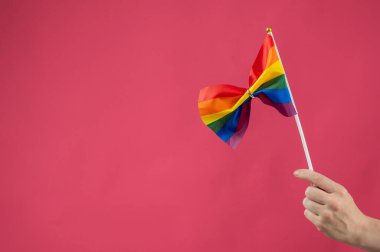 Elinde pembe arka planda alyansı olan gökkuşağı bayrağı tutan kadın. Boşluğu kopyala