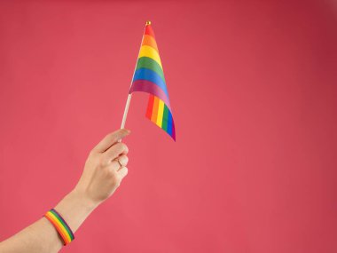 Alyanslı bir kadın pembe arka planda gökkuşağı bayrağı taşıyor.