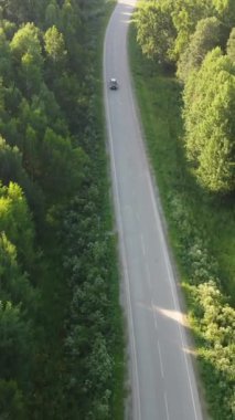 Yazın ağaçlık bir bölgenin yukarıdan görünüşü