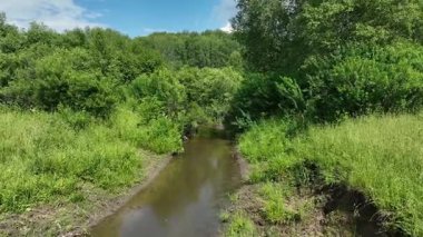 Kırsal kesimdeki bir dere boyunca insansız hava aracı görüntüsü