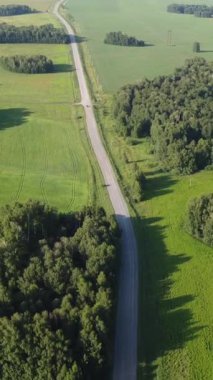 Yazın ağaçlık bir bölgenin yukarıdan görünüşü