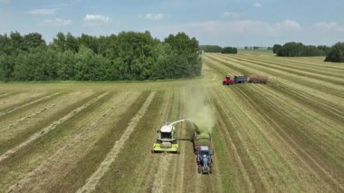 Hasat makinesinin en üst görüntüsü mahsul topluyor. Dikey video