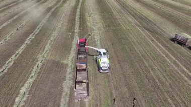 Hasat makinesinin en üst görüntüsü mahsul topluyor. Dikey video