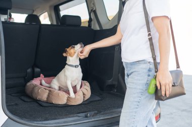 Sahibi arabanın bagajındaki yatakta köpeği okşar.