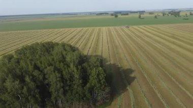 Hasat sırasında tarlaların drone görünümü