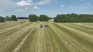 Hasat makinesinin en üst görüntüsü mahsul topluyor. Dikey video